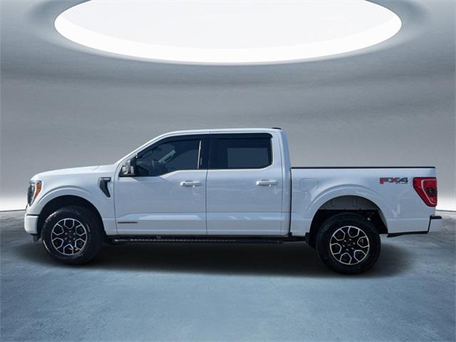 used 2023 Ford F-150 car