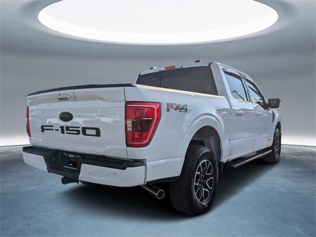 used 2023 Ford F-150 car