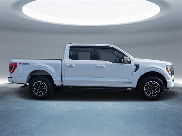 used 2023 Ford F-150 car