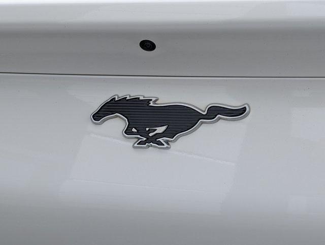 used 2021 Ford Mustang Mach-E car, priced at $25,498
