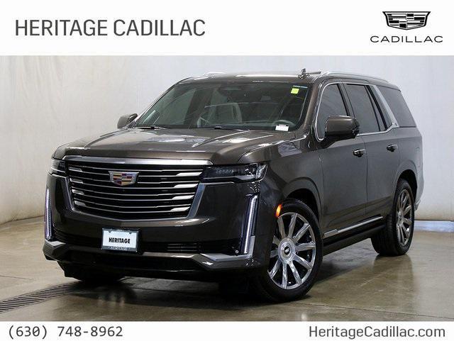 used 2021 Cadillac Escalade car, priced at $78,224