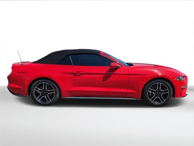used 2019 Ford Mustang car, priced at $19,250