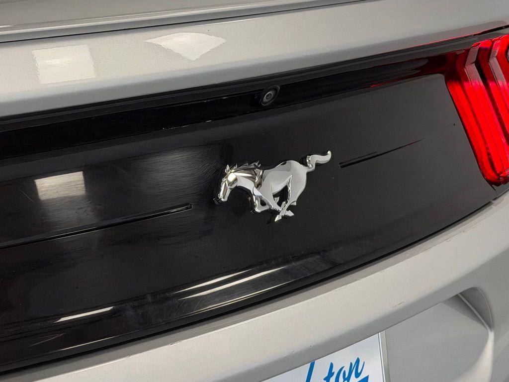 used 2019 Ford Mustang car, priced at $19,500