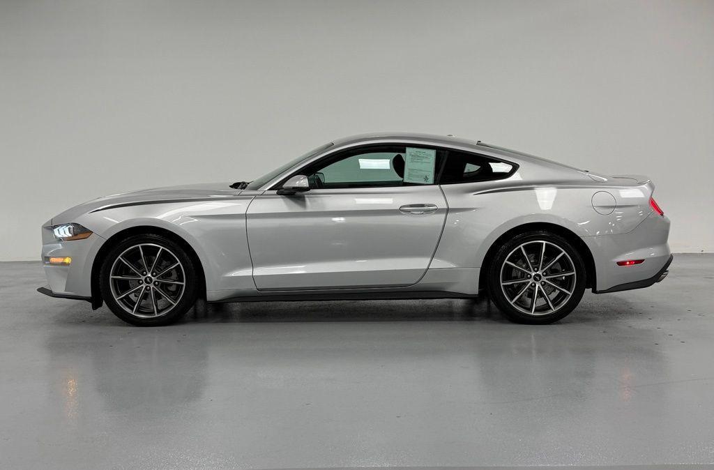 used 2019 Ford Mustang car, priced at $19,500