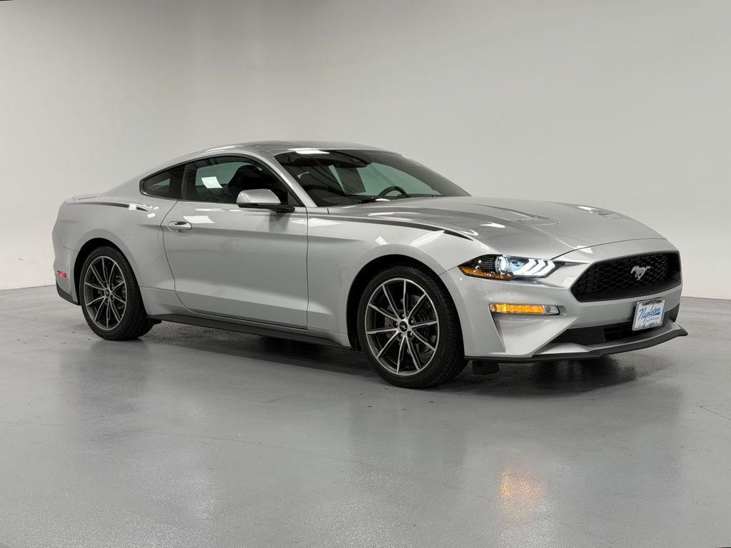 used 2019 Ford Mustang car, priced at $19,500