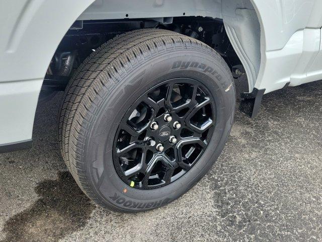 new 2025 Ford F-150 car