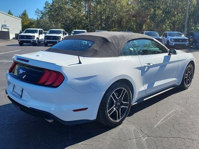 used 2022 Ford Mustang car