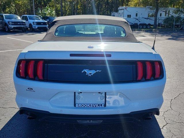 used 2022 Ford Mustang car