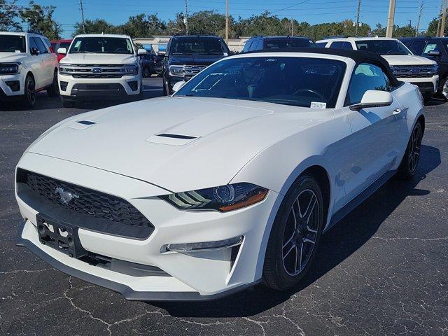 used 2022 Ford Mustang car