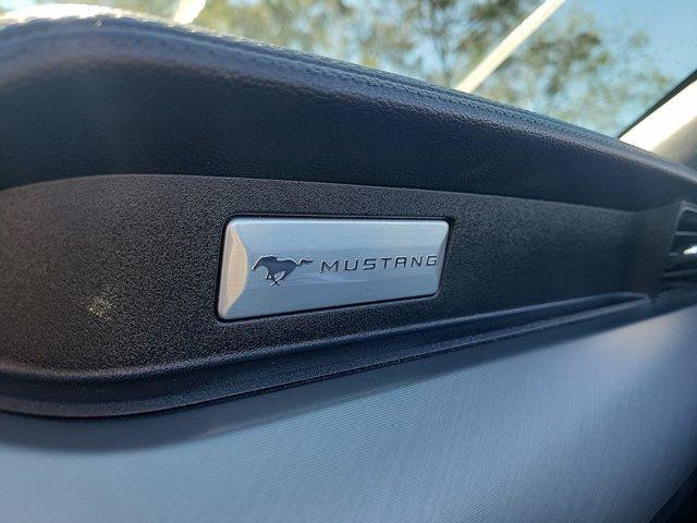 used 2022 Ford Mustang car