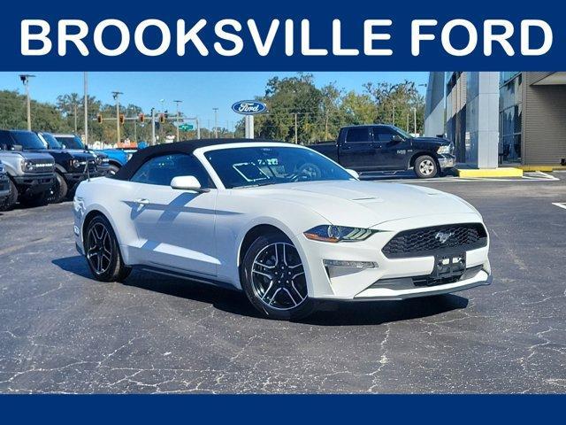 used 2022 Ford Mustang car