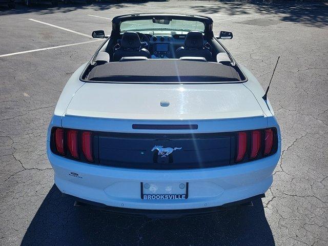 used 2022 Ford Mustang car