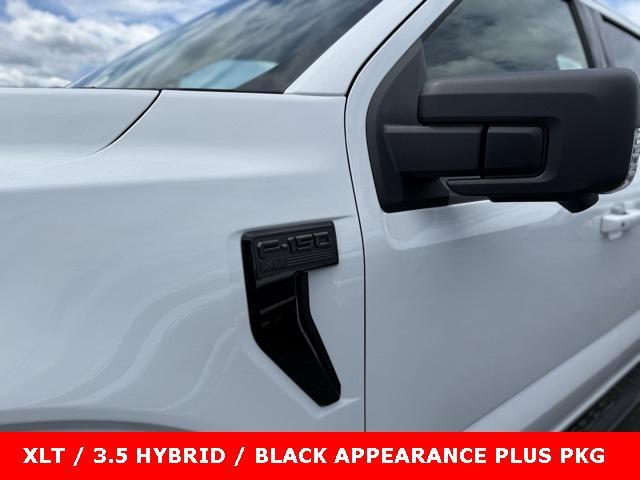 new 2025 Ford F-150 car, priced at $59,800