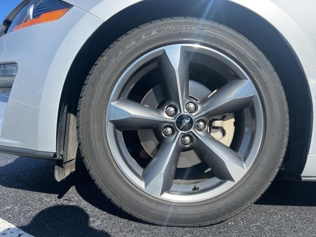 used 2019 Ford Mustang car, priced at $17,500