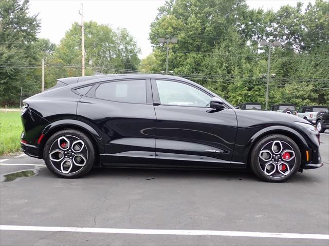 new 2024 Ford Mustang Mach-E car, priced at $53,385