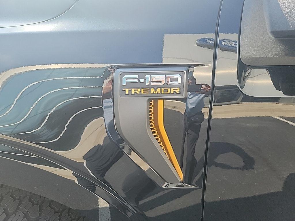 new 2025 Ford F-150 car, priced at $65,534