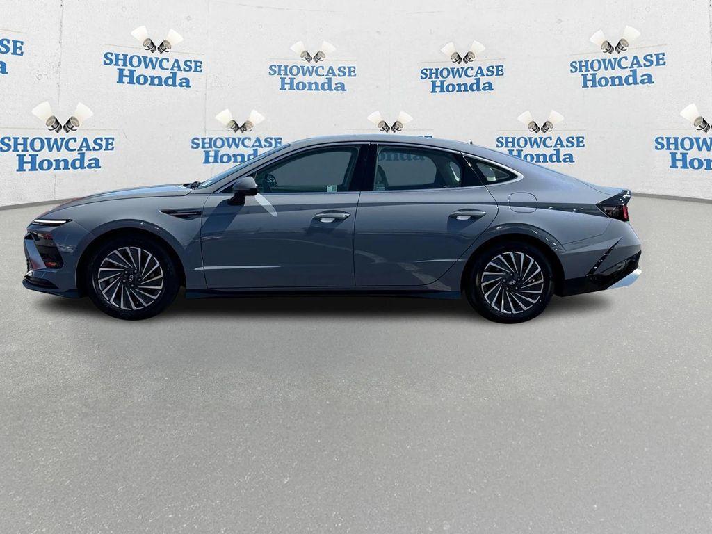 used 2024 Hyundai Sonata Hybrid car, priced at $23,998