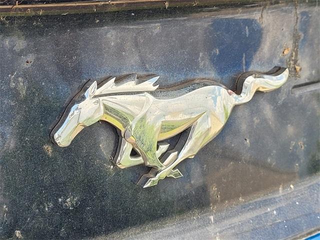 used 2019 Ford Mustang car, priced at $18,350