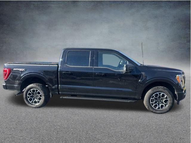 used 2022 Ford F-150 car, priced at $47,929