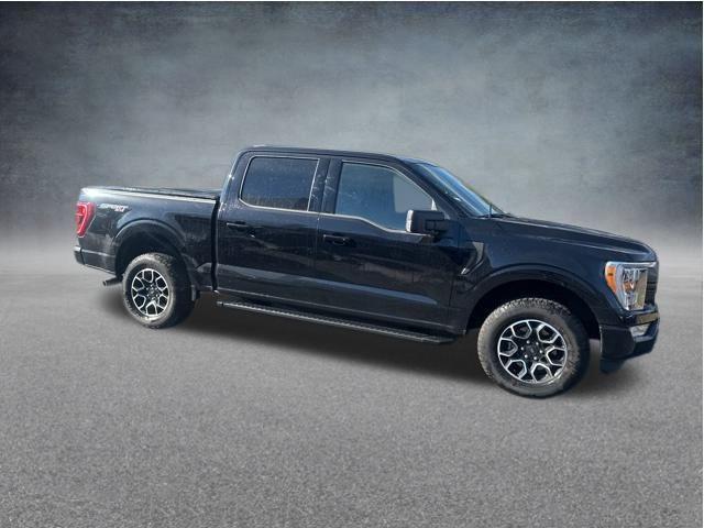 used 2022 Ford F-150 car, priced at $47,929
