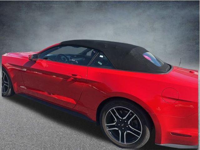 used 2023 Ford Mustang car, priced at $24,272