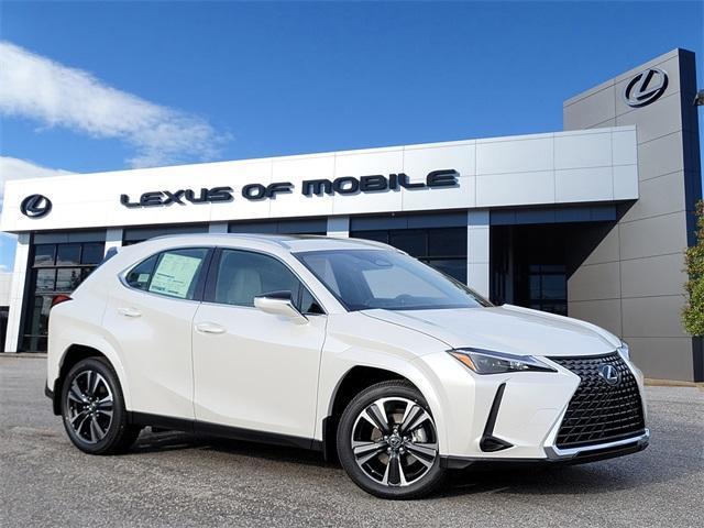 new 2025 Lexus UX 300h car