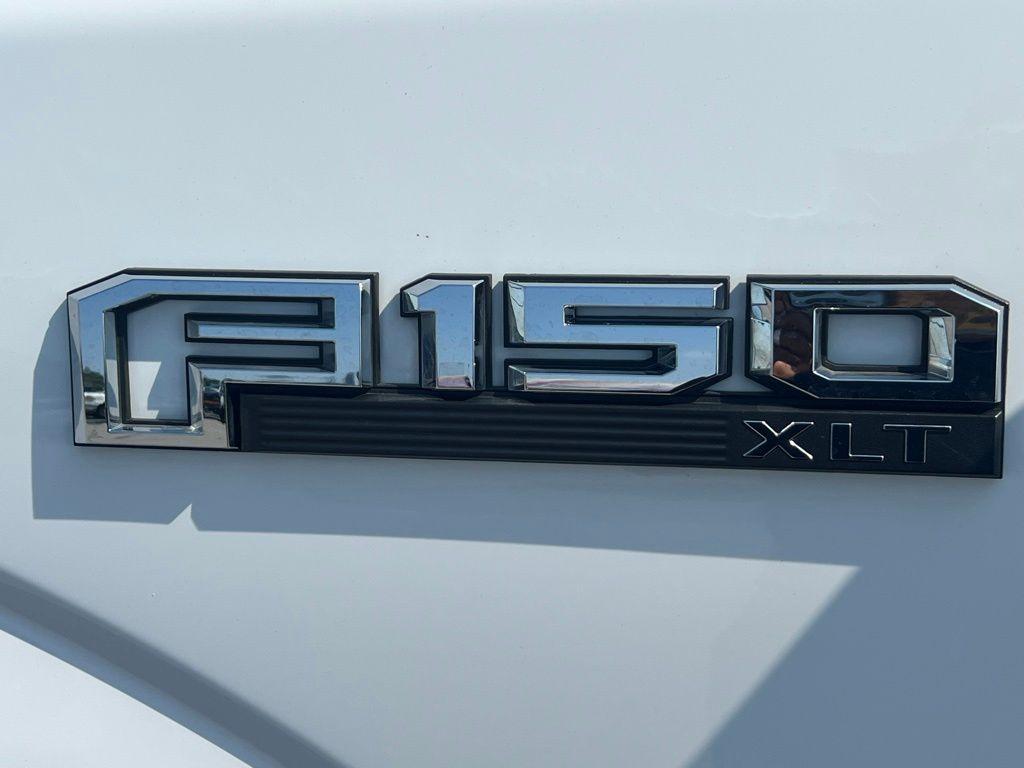used 2019 Ford F-150 car