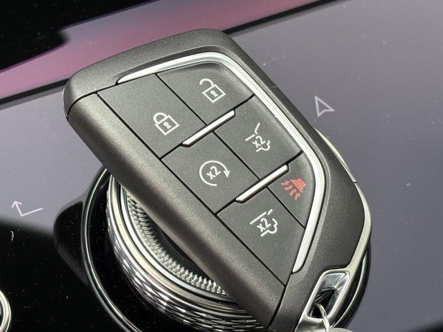 used 2025 Cadillac Escalade ESV car, priced at $123,309