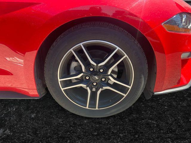 used 2023 Ford Mustang car, priced at $26,500