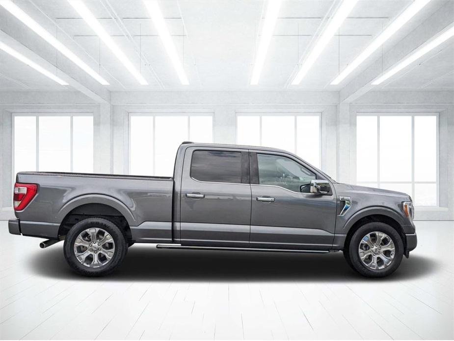 used 2023 Ford F-150 car, priced at $43,000