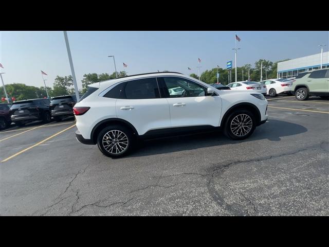 used 2024 Ford Escape PHEV car, priced at $26,499