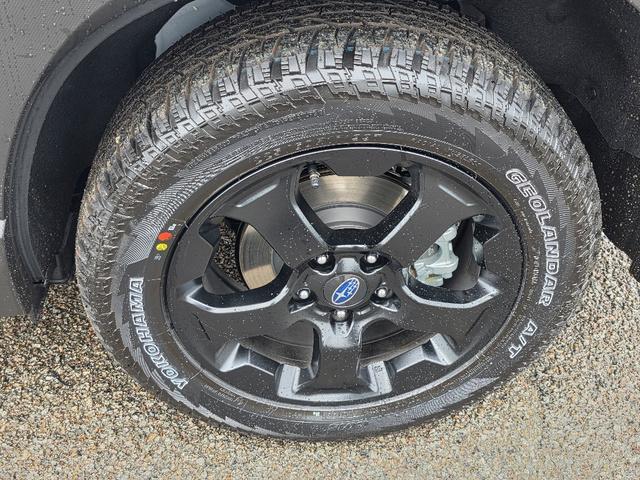 used 2025 Subaru Forester car