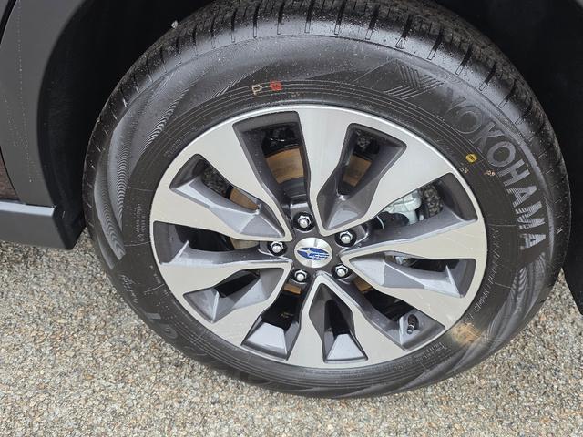 used 2025 Subaru Outback car