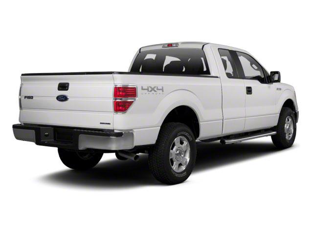 used 2010 Ford F-150 car