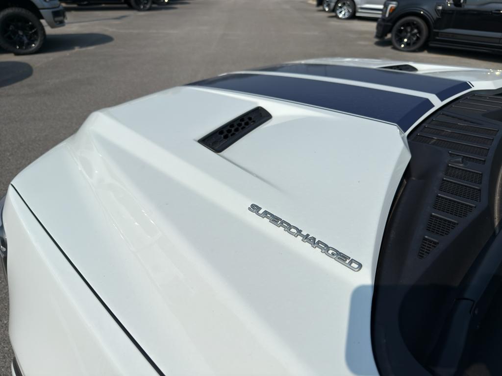 new 2025 Ford F-150 car