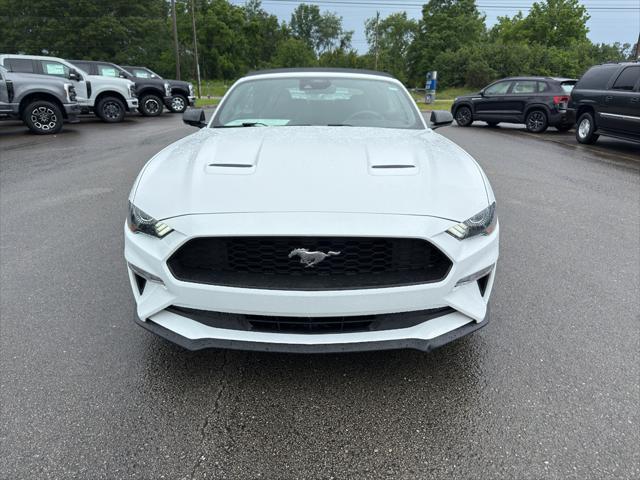 used 2022 Ford Mustang car, priced at $22,400