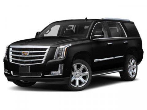 used 2019 Cadillac Escalade car, priced at $32,000