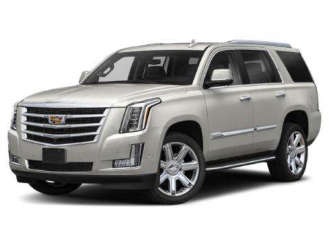 used 2019 Cadillac Escalade car, priced at $32,000