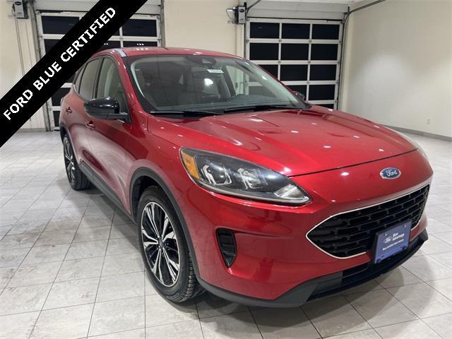 used 2021 Ford Escape car, priced at $15,890
