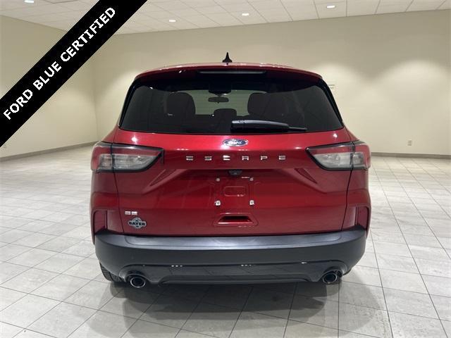 used 2021 Ford Escape car, priced at $15,890