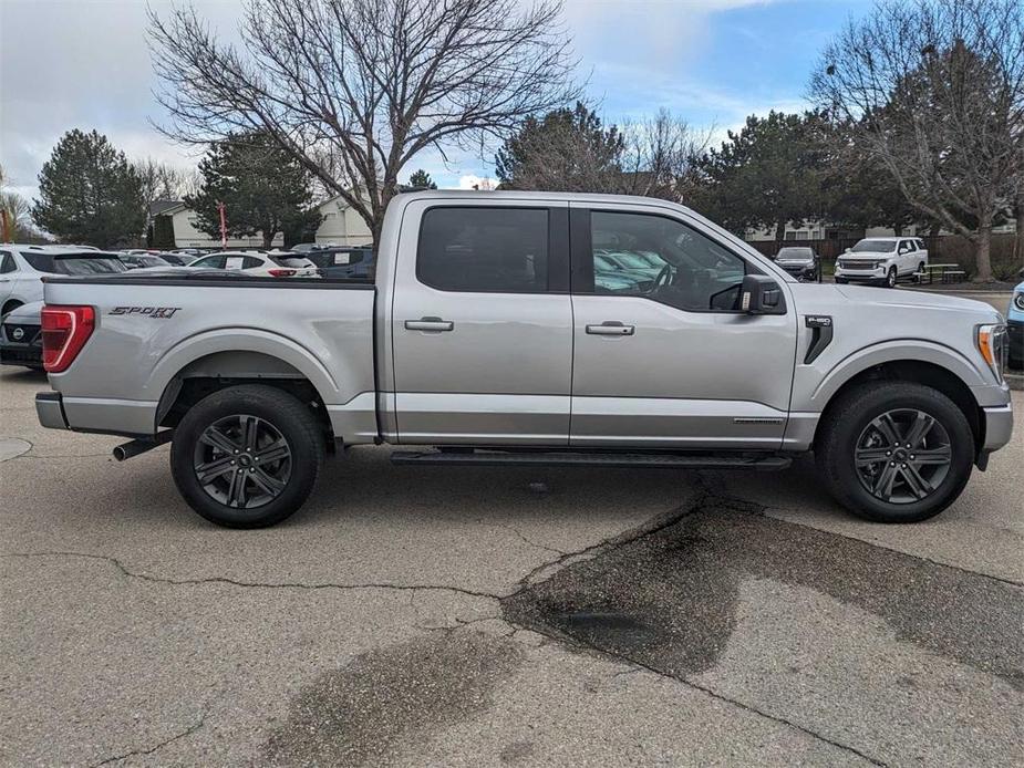 used 2023 Ford F-150 car, priced at $44,000