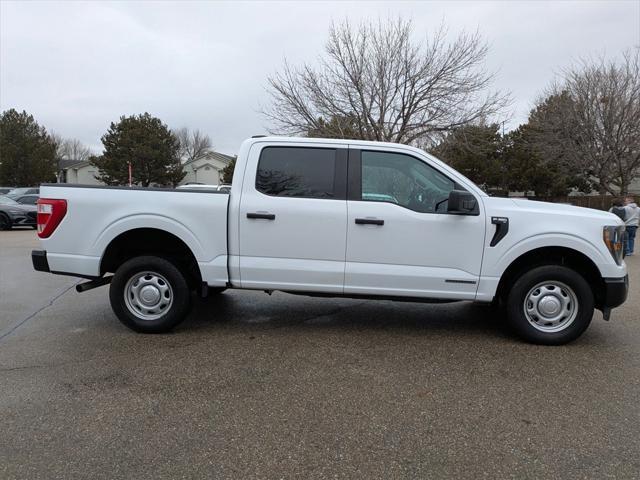 used 2023 Ford F-150 car, priced at $33,800