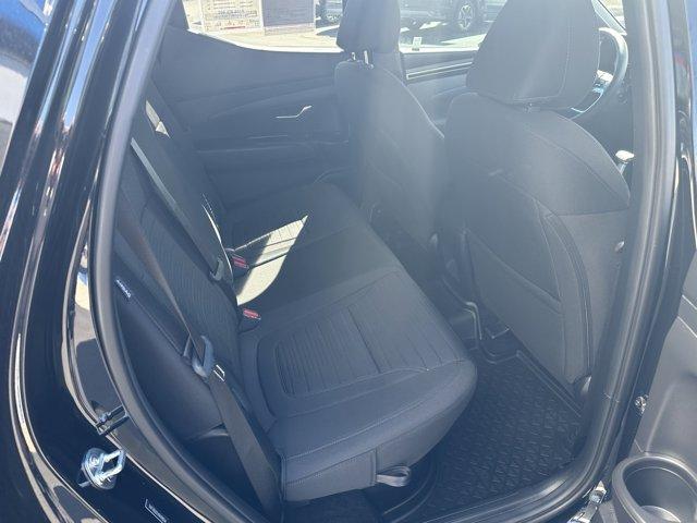 used 2024 Hyundai SANTA CRUZ car, priced at $30,399