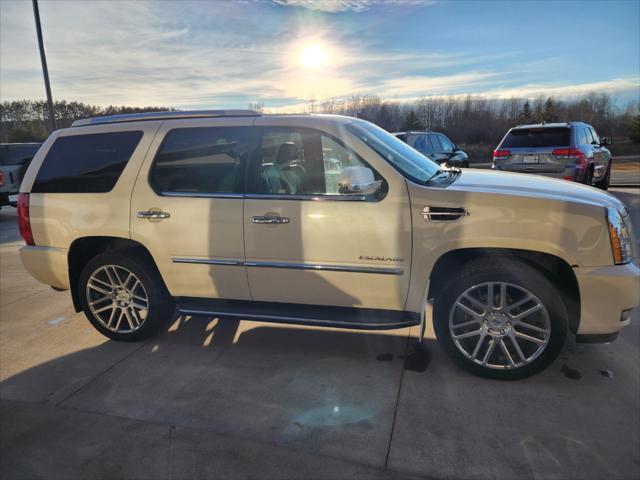 used 2014 Cadillac Escalade car