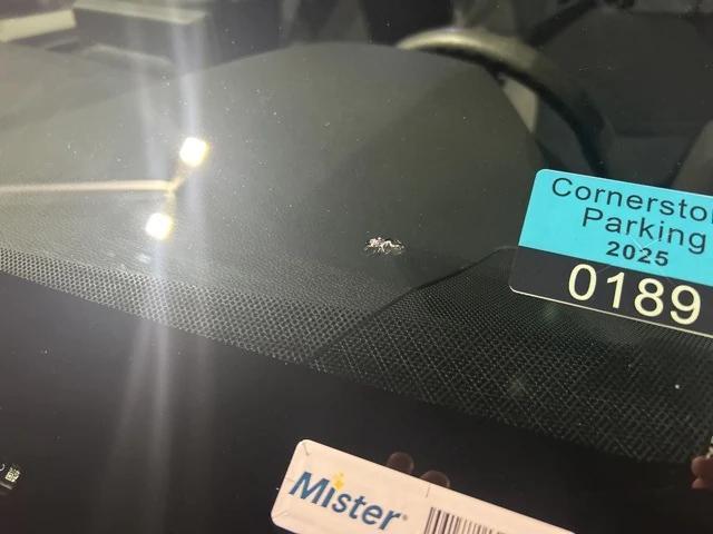 used 2021 Toyota RAV4 car, priced at $19,999