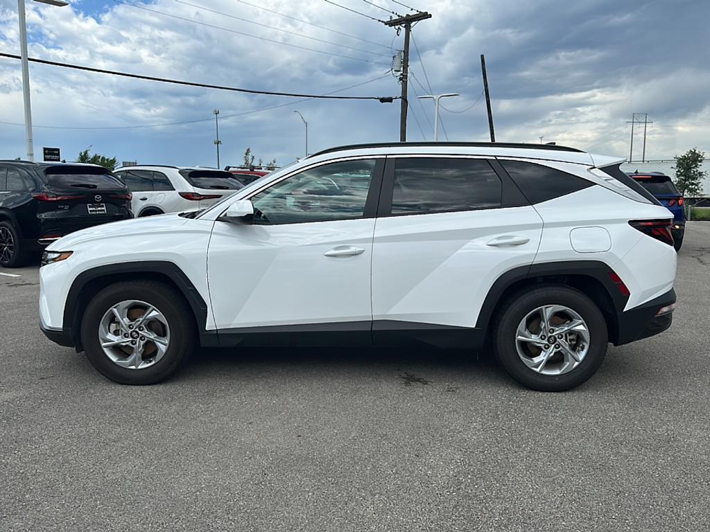 used 2024 Hyundai Tucson car