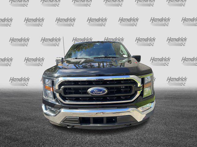 used 2023 Ford F-150 car, priced at $35,874