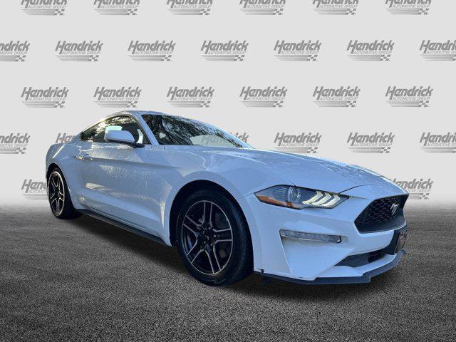 used 2022 Ford Mustang car, priced at $24,982