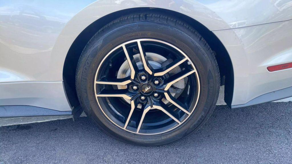 used 2019 Ford Mustang car, priced at $13,999