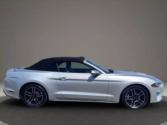 used 2019 Ford Mustang car, priced at $14,999